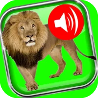 Contes 2 Kassem avec audio